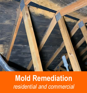 Mold Remediation and Removal Jefferson WI